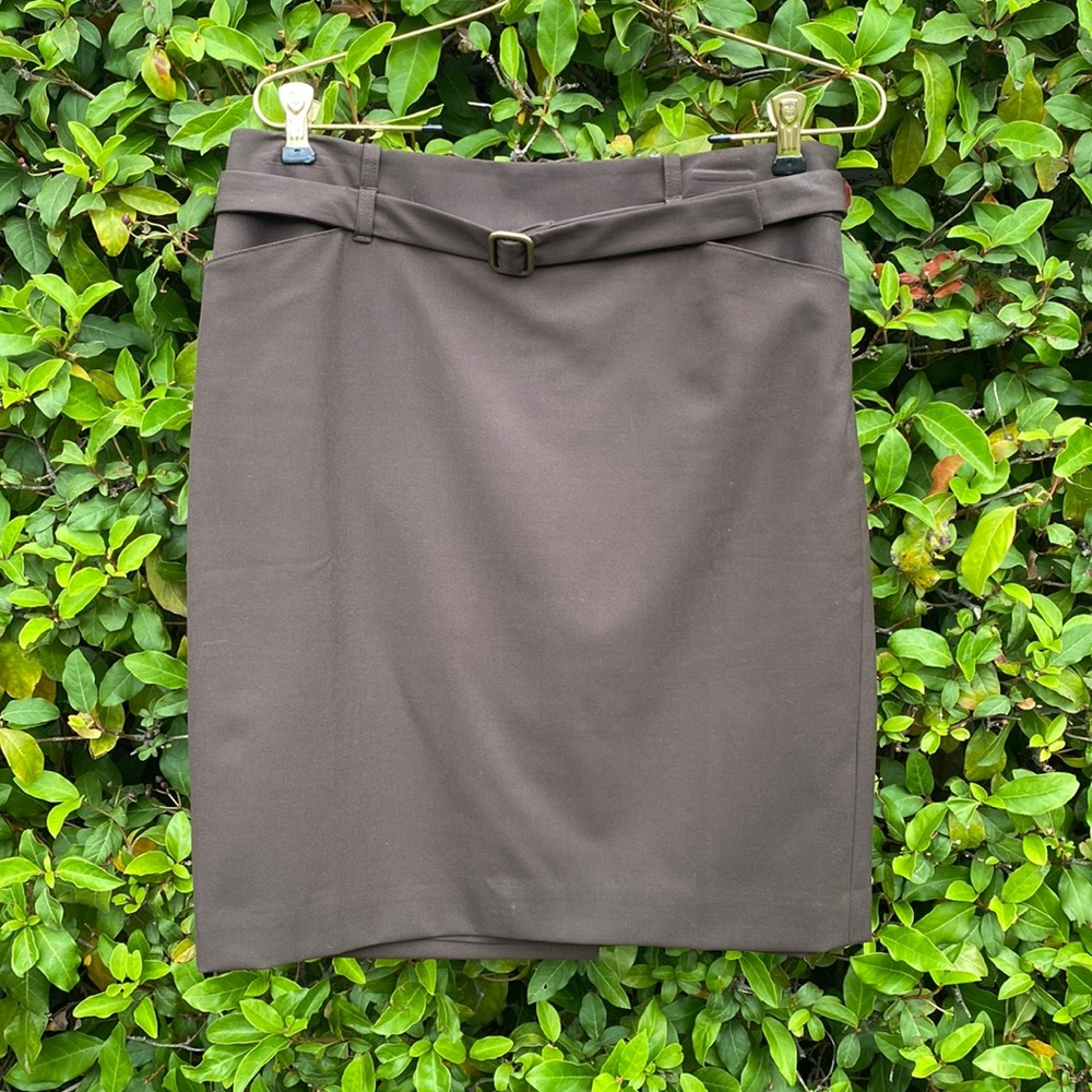 Ann Taylor Pencil Skirt